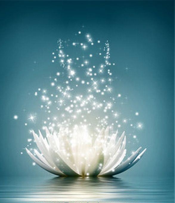 SHROPSHIRE - Eternal Blossoming - a Yoga Retreat for Women over the age of 50