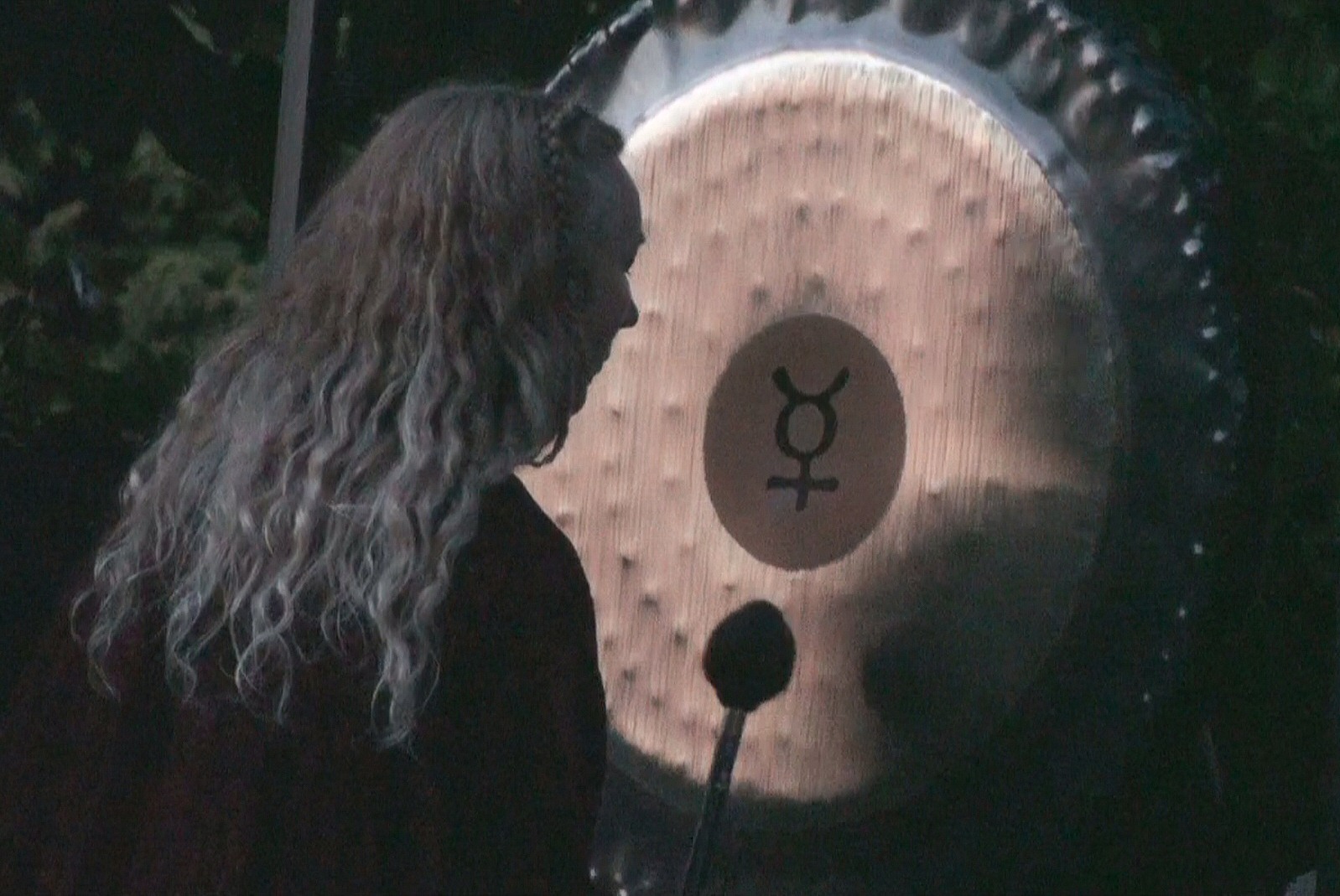 COSH Gong Practitioner Training Session 2