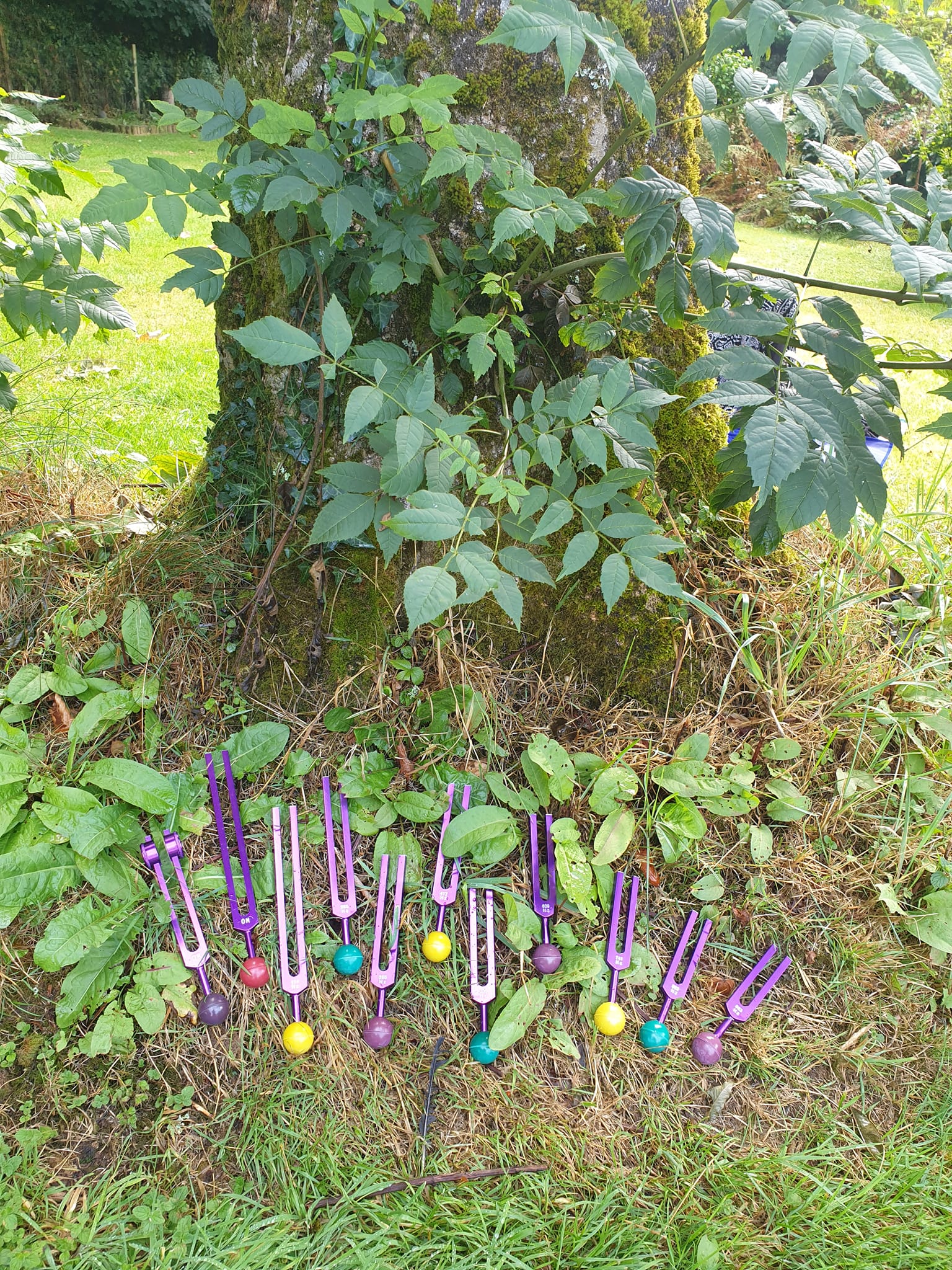 Tuning Fork Sound Practitioner Course Online  