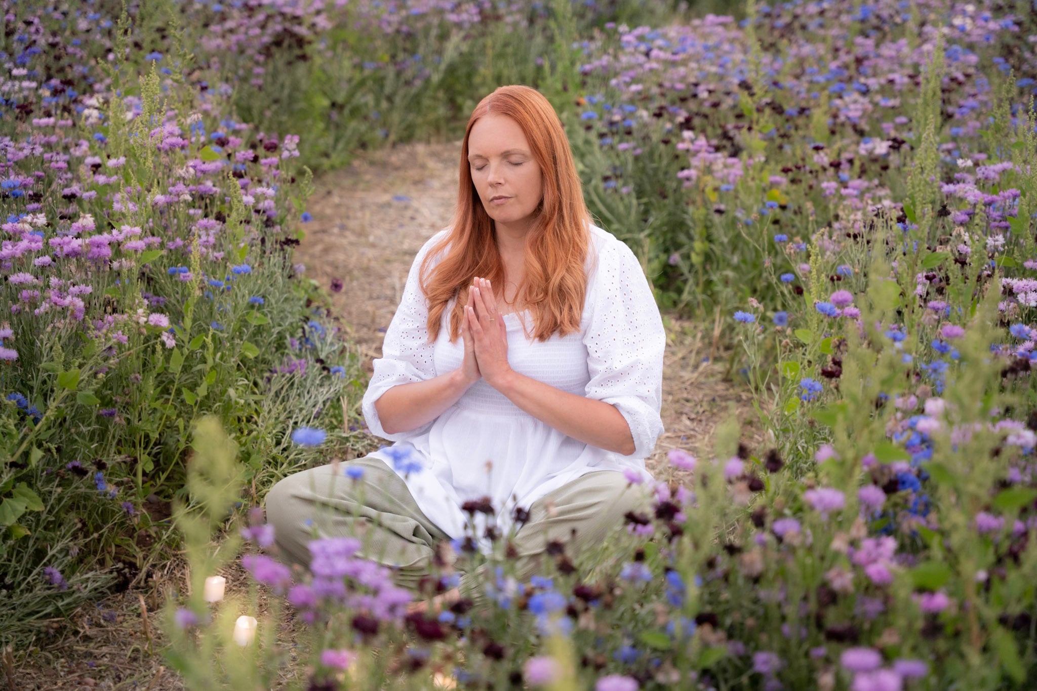 SHROPSHIRE - Silent Half-Day Retreat at Wellness Woodlands, Shropshire