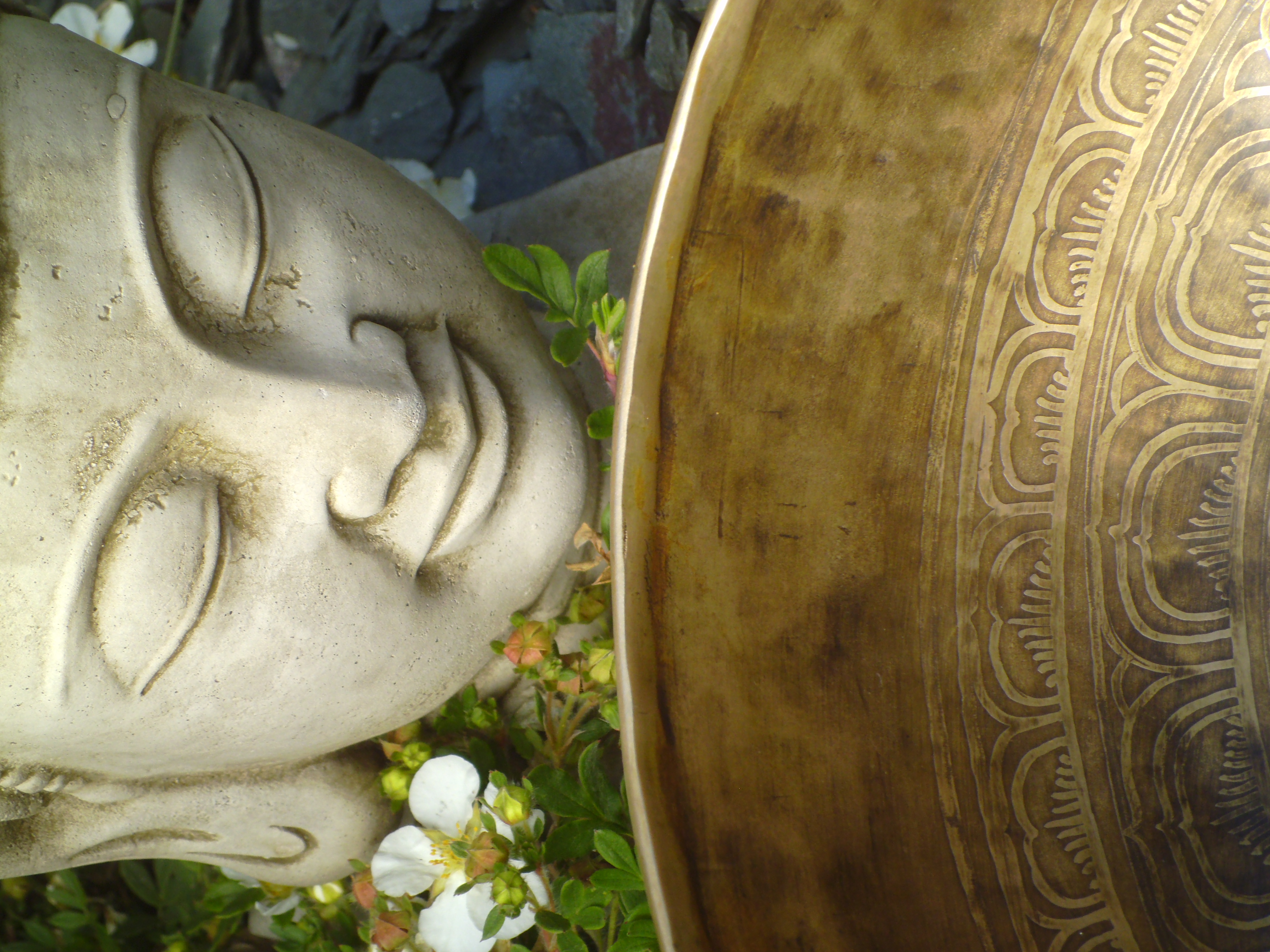NORTH YORKSHIRE - Sound Bath and Forest Feast