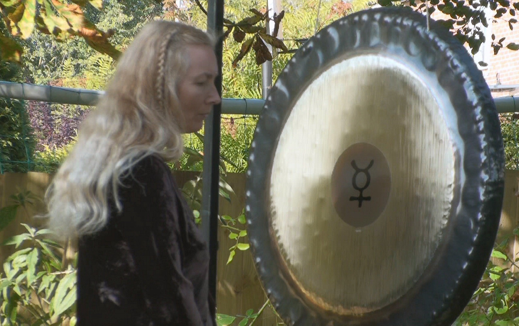 COSH Gong Practitioner Training Session 4