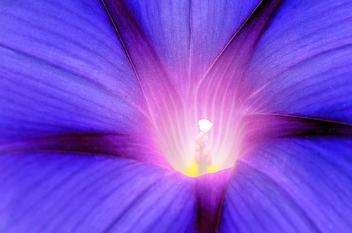 Sing from Within