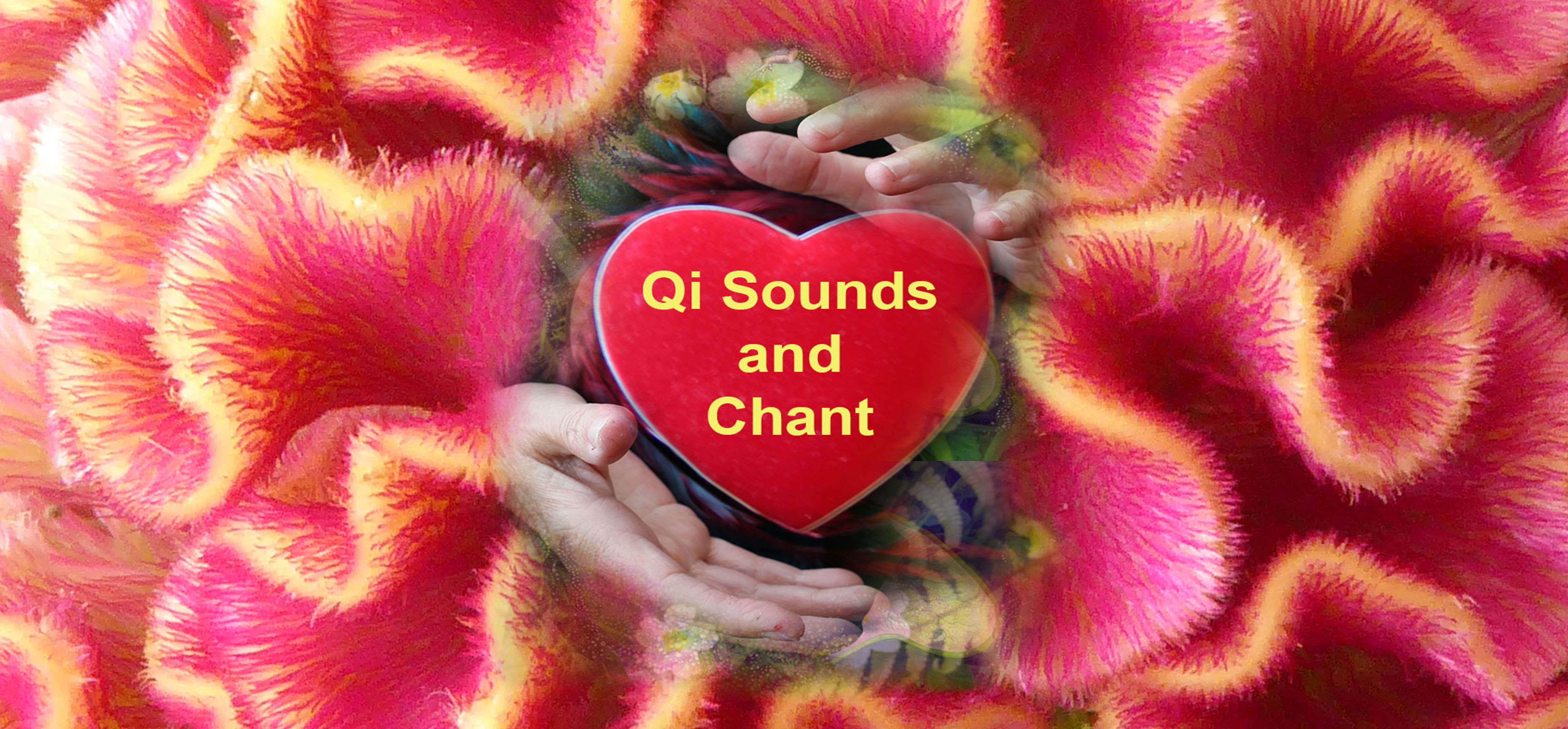 DEVON - Qi Sounds & Chant