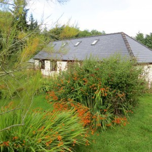 POWYS - Fully accredited 2 year Healing Course