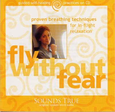 Fly Without Fear - Gay Hendricks