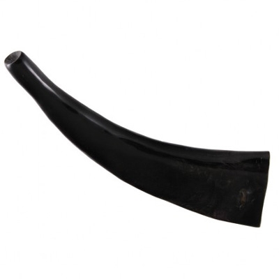 Water Buffalo Horn - Polished