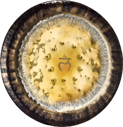 MEINL Sonic Energy Chakra Gong - Root / Synodic Day - 24" 
