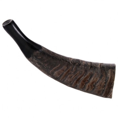 Water Buffalo Horn - Natural