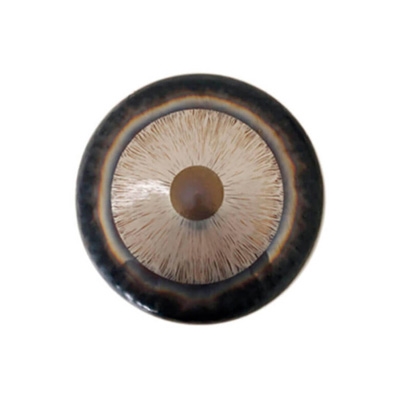 Gongland Gong Lifetime 28 cm / 11"