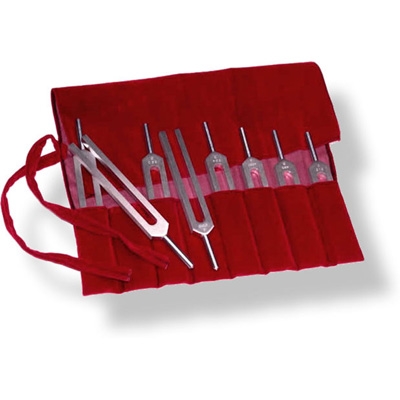 Biosonics Solar Harmonic Upgrade (Set of 6, no C & G)