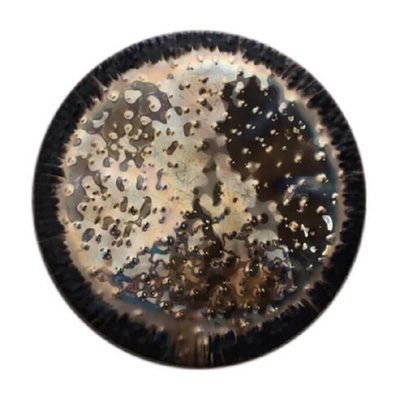 Gongland Gong Old Wise Earth 82 cm / 32"