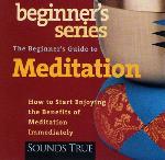 The Beginners Guide to Meditation - Shinzen Young