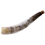 African Cattle Horn