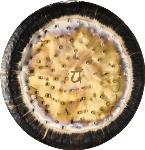 MEINL Sonic Energy Chakra Gong - Heart / Om Earth - 36"