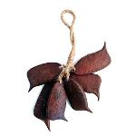 Sappan Seed Shaker
