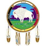 Window Transparency - Native Visions - White Buffalo