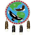 Window Transparency - Native Visions - Condor & Eagle