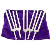 Biosonics Brain Tuners - Velvet Bag